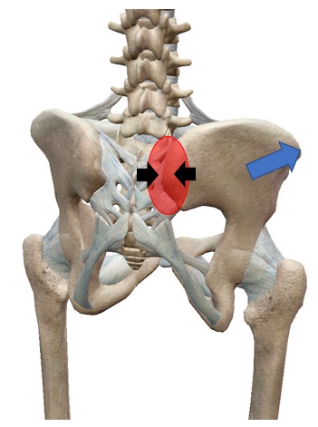 今日の卒業患者さんお2人 左腰部の痛み の方 左臀部の痛み の方 と再診患者さん 左肩甲骨の痛み Hk Labo