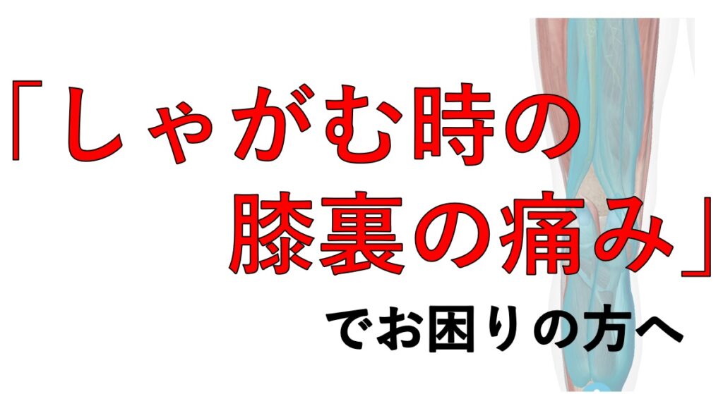 「しゃがんだ時の膝裏の痛み」でお困りの方へ。